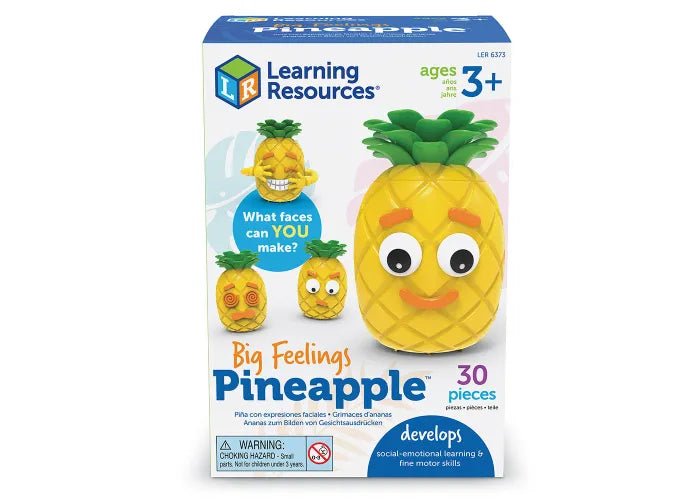 Big Feelings Pineapple - Enchanted Toys