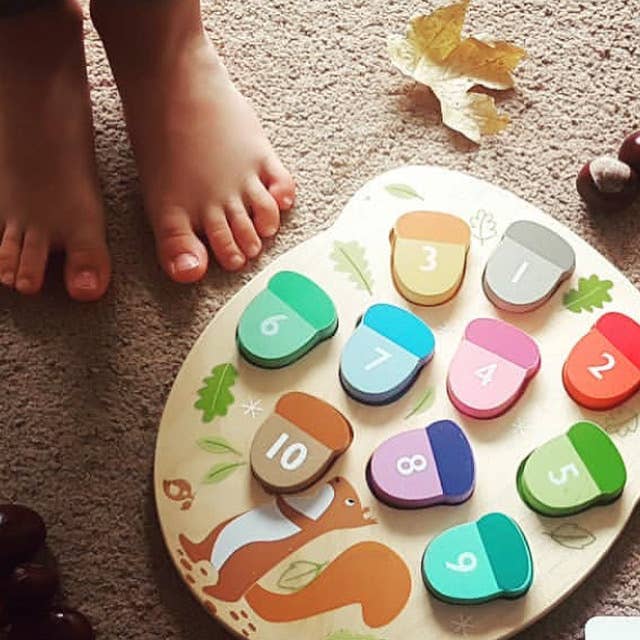 How Many Acorns? - Enchanted Toys