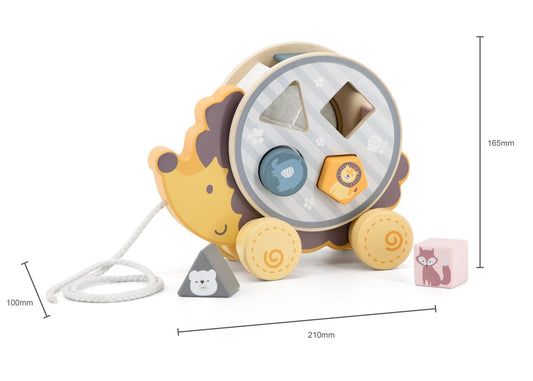 PolarB Hedgehog with Sorting Wheel - Enchanted Toys
