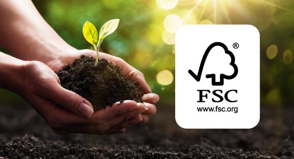 Toddler Bouncer - Enchanted Toys